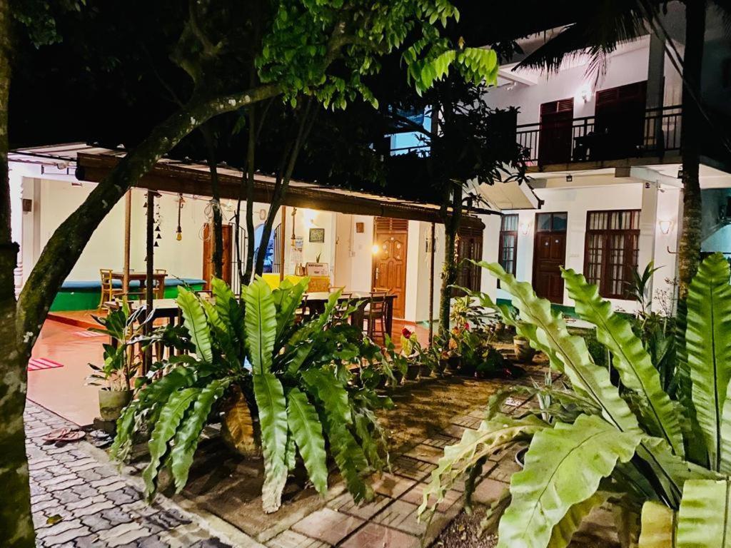 מיריסה Gihan Guesthouse מראה חיצוני תמונה